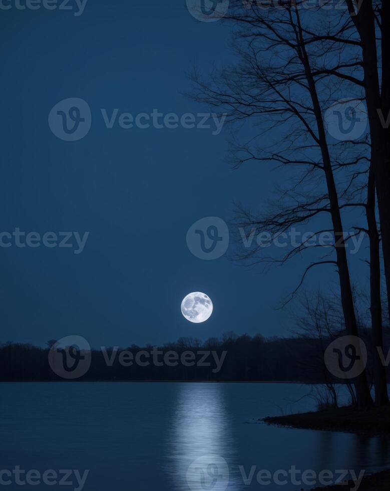 Serene Night Scene with Full Moon Over Still Lake photo