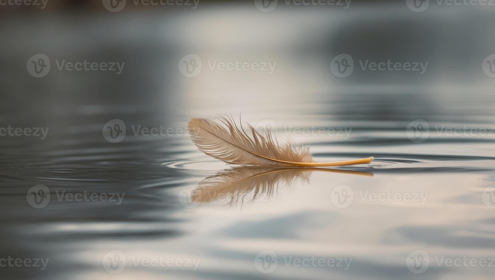 Golden Feather Floating on Calm River Water photo