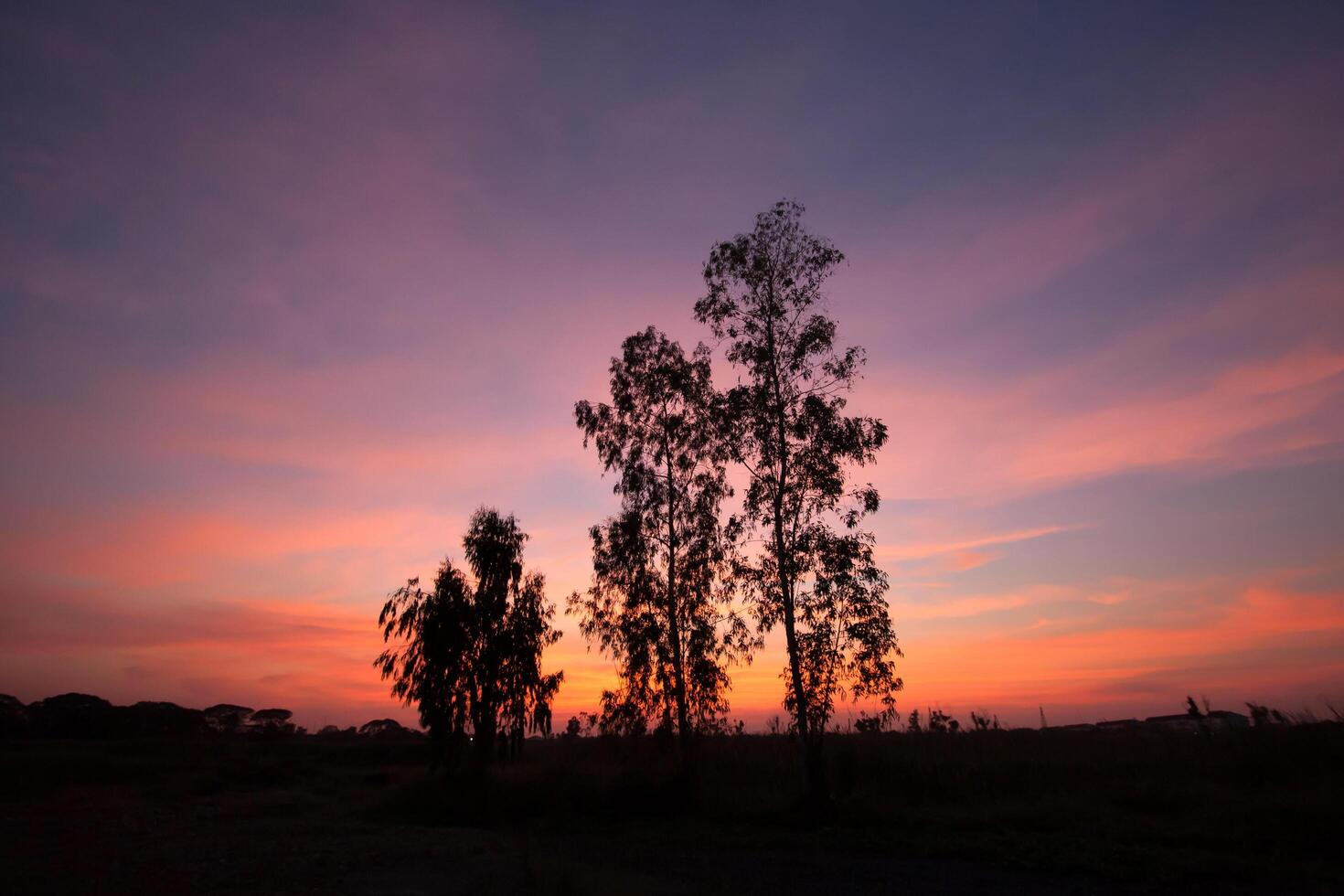 A sunset with trees in the foreground photo