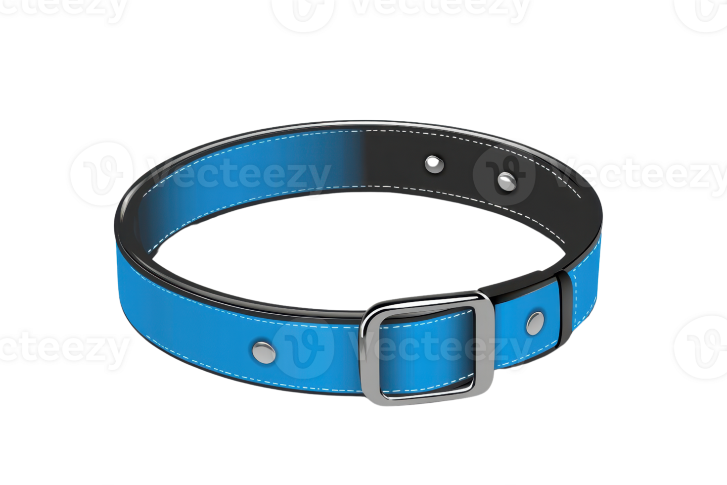 A vivid blue collar with a sleek black interior and a shiny silver buckle. png