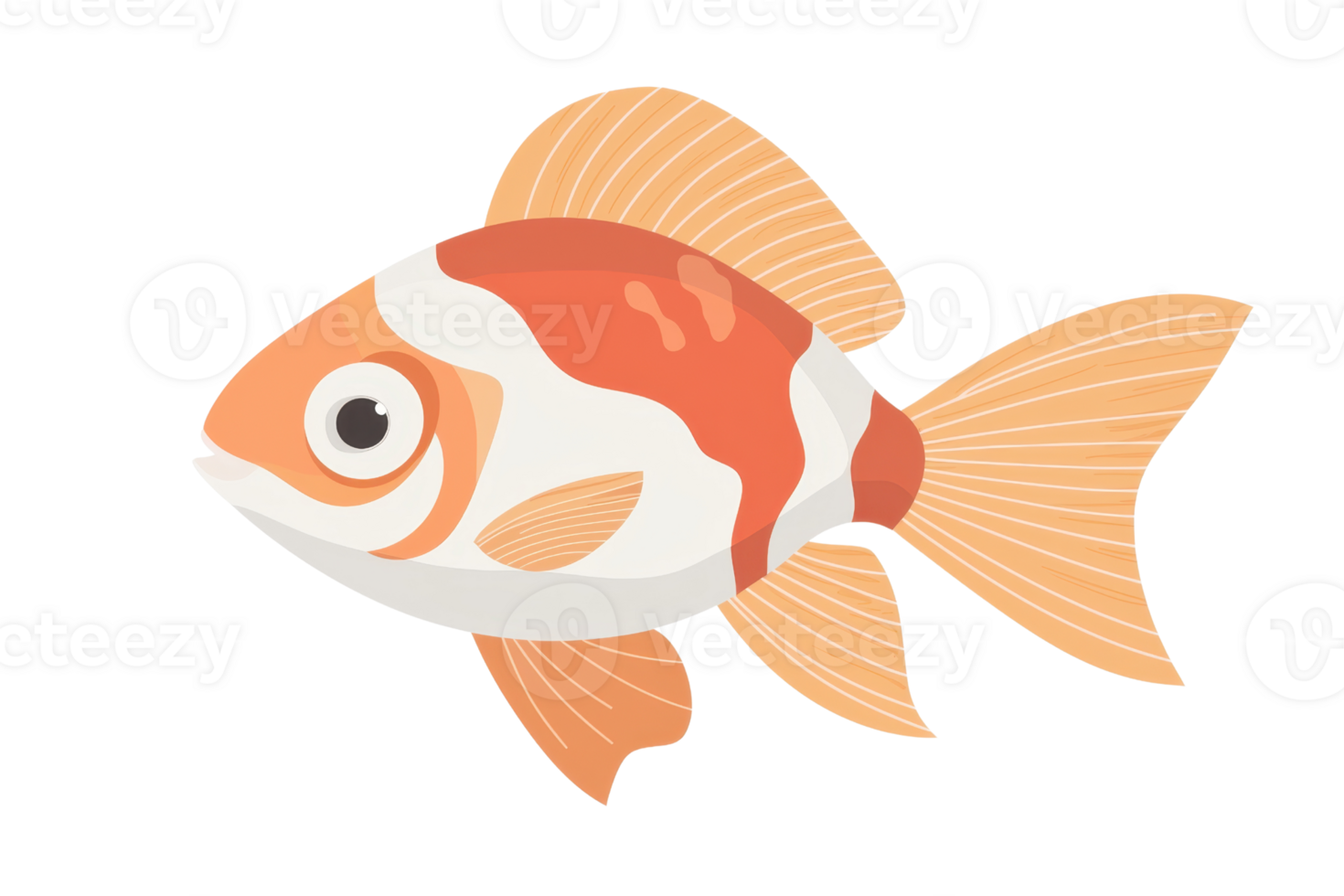 A colorful goldfish with orange and white patterns, featuring large fins and a rounded body, swimming gracefully. png