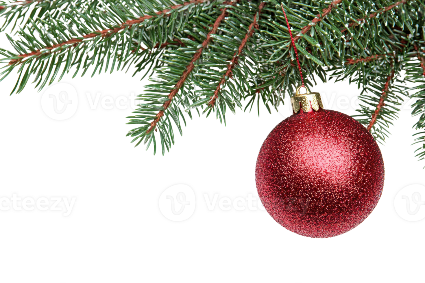 A red Christmas ornament hangs from a green pine branch, signaling the holiday season and festive decorations. png