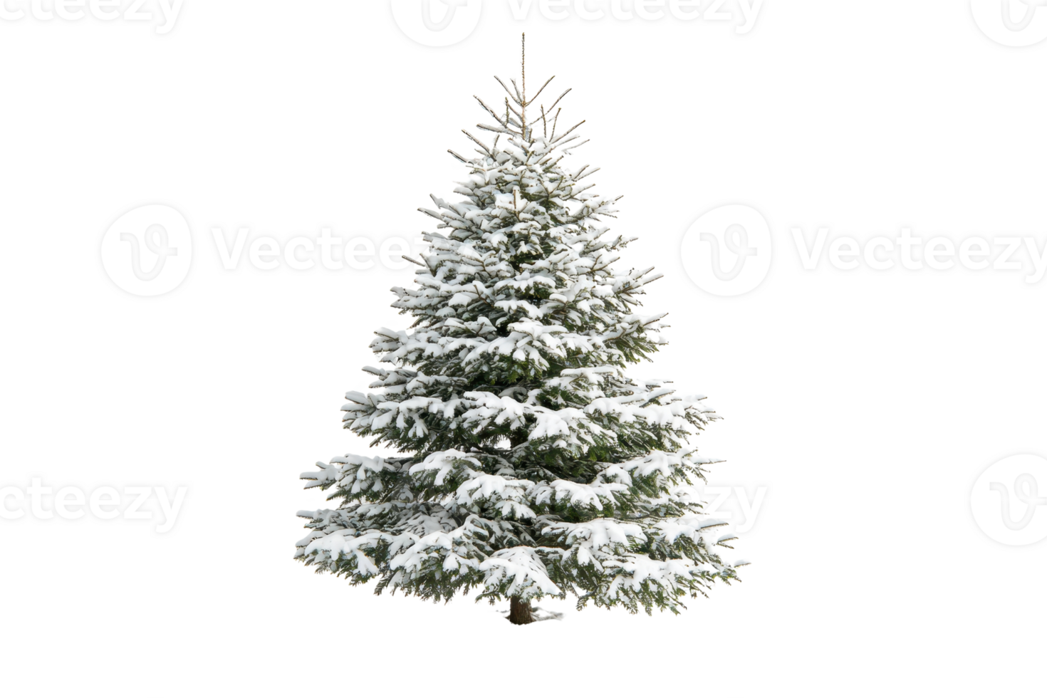 Beautiful snow-covered Christmas tree isolated on a transparent background. capturing the essence of winter and holiday season. png