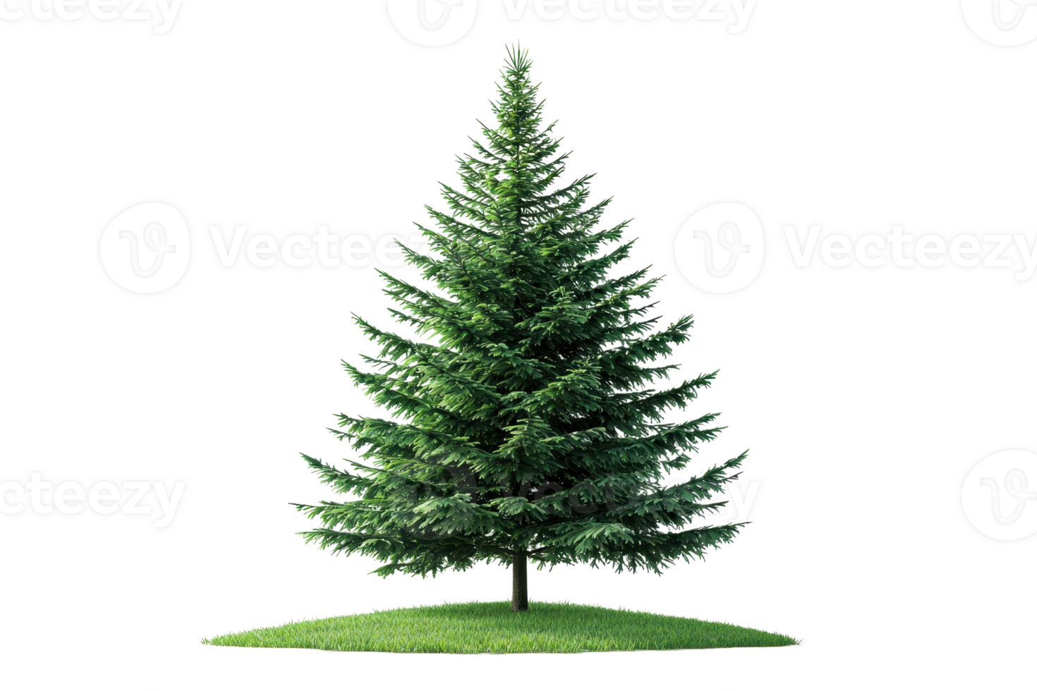 Beautiful lush green pine tree standing isolated on transparent background. showcasing nature's elegance and perfect for seasonal design projects. png