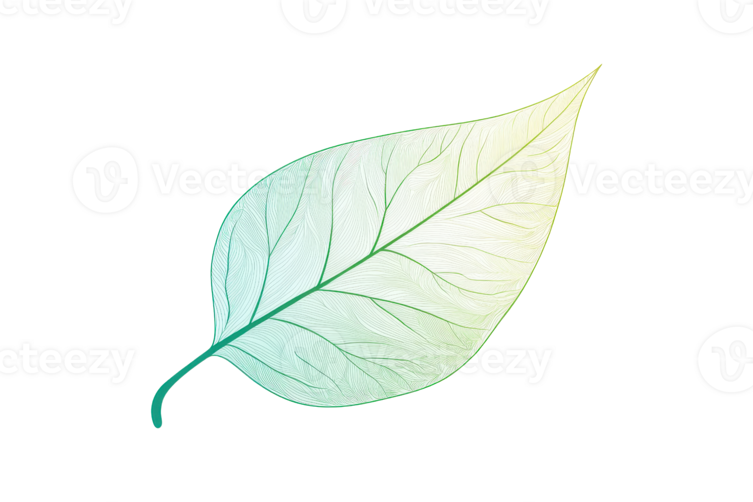 Close-up of a single leaf with intricate vein patterns. The leaf is vibrant, showcasing a blend of green and yellow hues against a white backdrop. png
