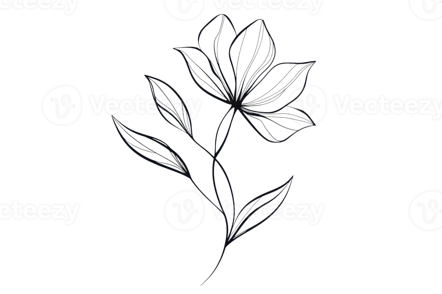 Elegant black line-drawing of a delicate flower with leaves on a transparent background, perfect for minimalist and modern designs. png