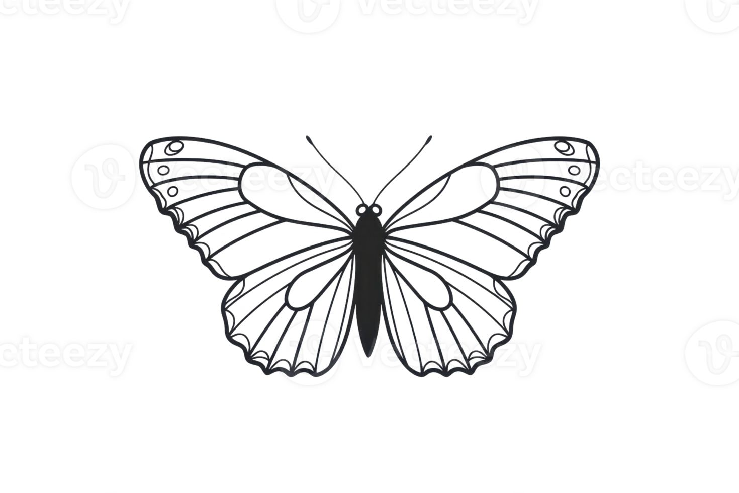 Elegant black and white butterfly illustration with detailed wings, perfect for designs and nature-inspired projects or educational purposes. png