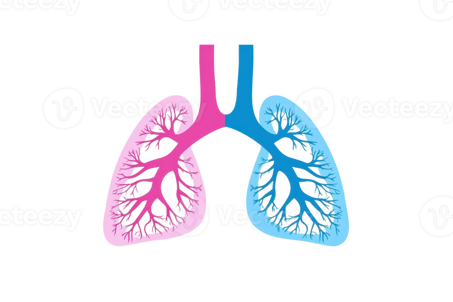 Colorful illustration of human lungs, showcasing detailed structure and respiratory system concept in vibrant colors. png