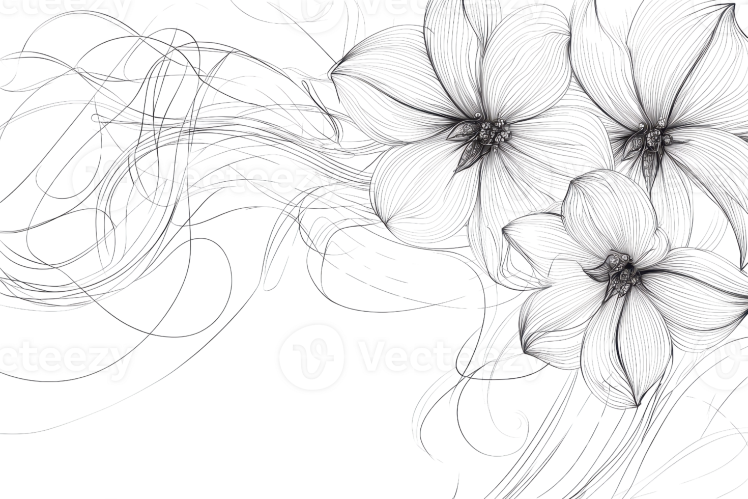 Elegant black and white floral sketch featuring delicate flowers and intricate swirling lines, perfect for art and design projects. png