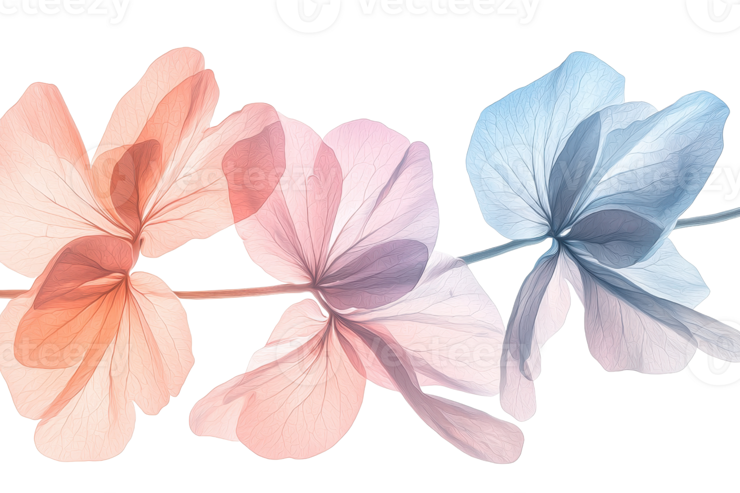 Delicate pastel flowers in soft hues create a calming visual. Ideal for spring-themed designs, backgrounds, or floral-inspired projects. png