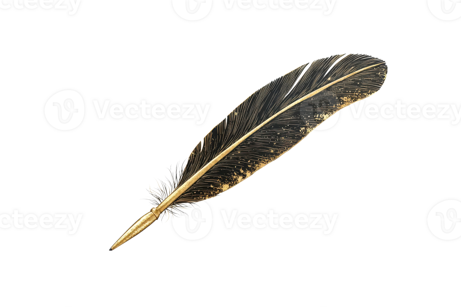 Elegant single black and gold feather on transparent background. showcasing its delicate texture and natural beauty. png
