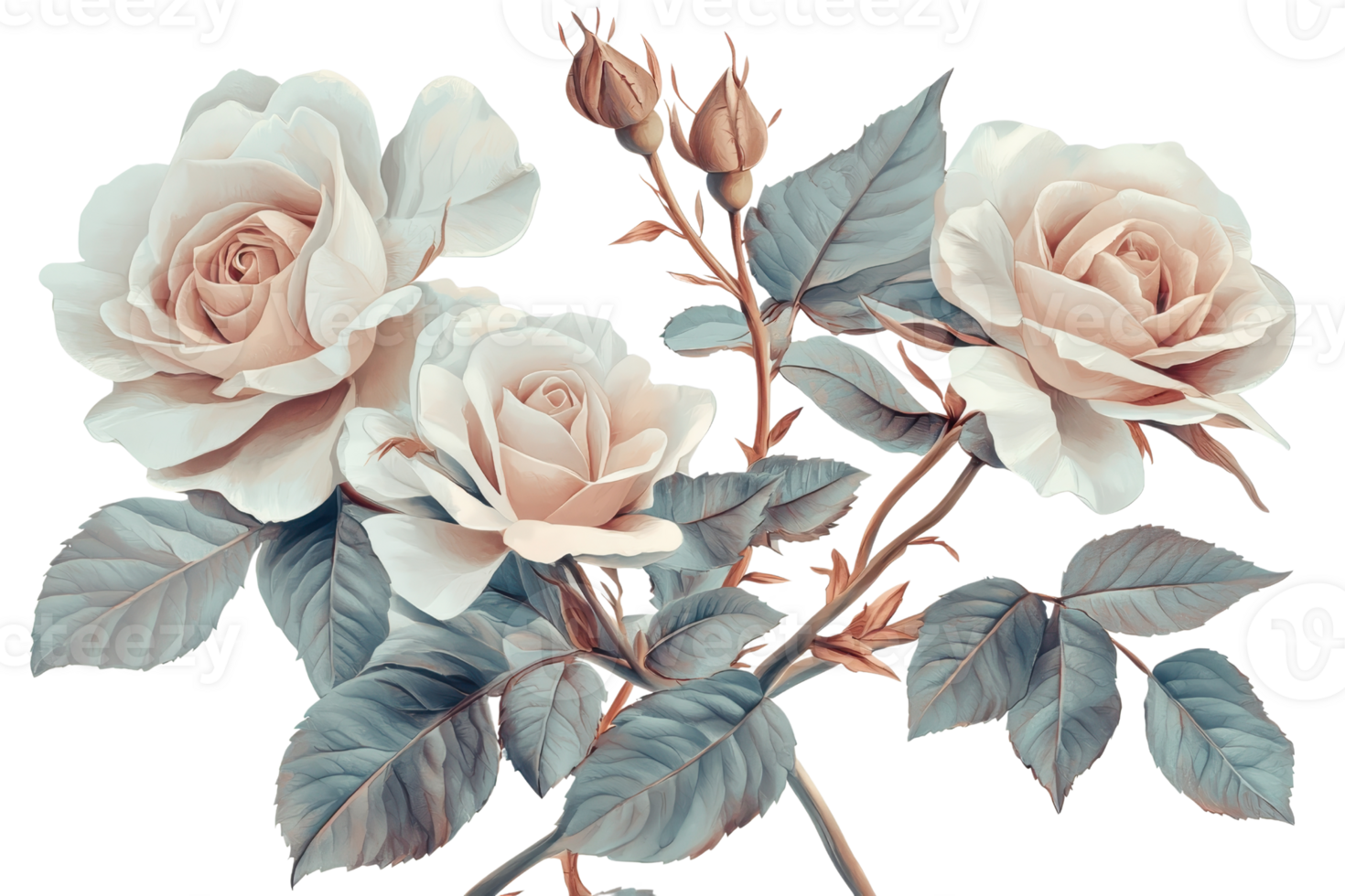 Elegant white roses and buds with soft lighting and delicate leaves, showcasing natural beauty and timeless elegance against a plain background. png