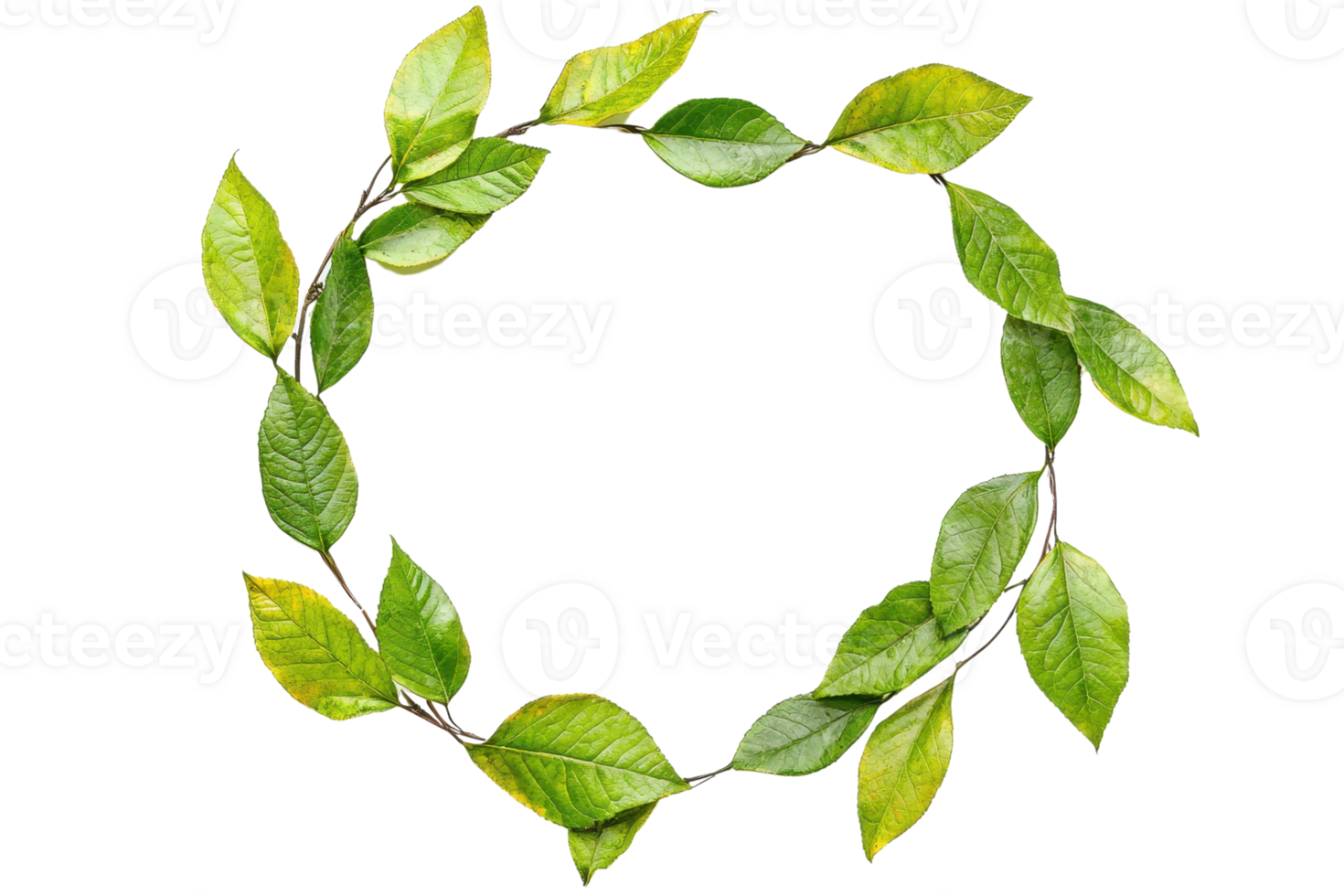 Green leafy wreath arranged in a circular pattern, ideal for nature-themed designs and decorative purposes. png