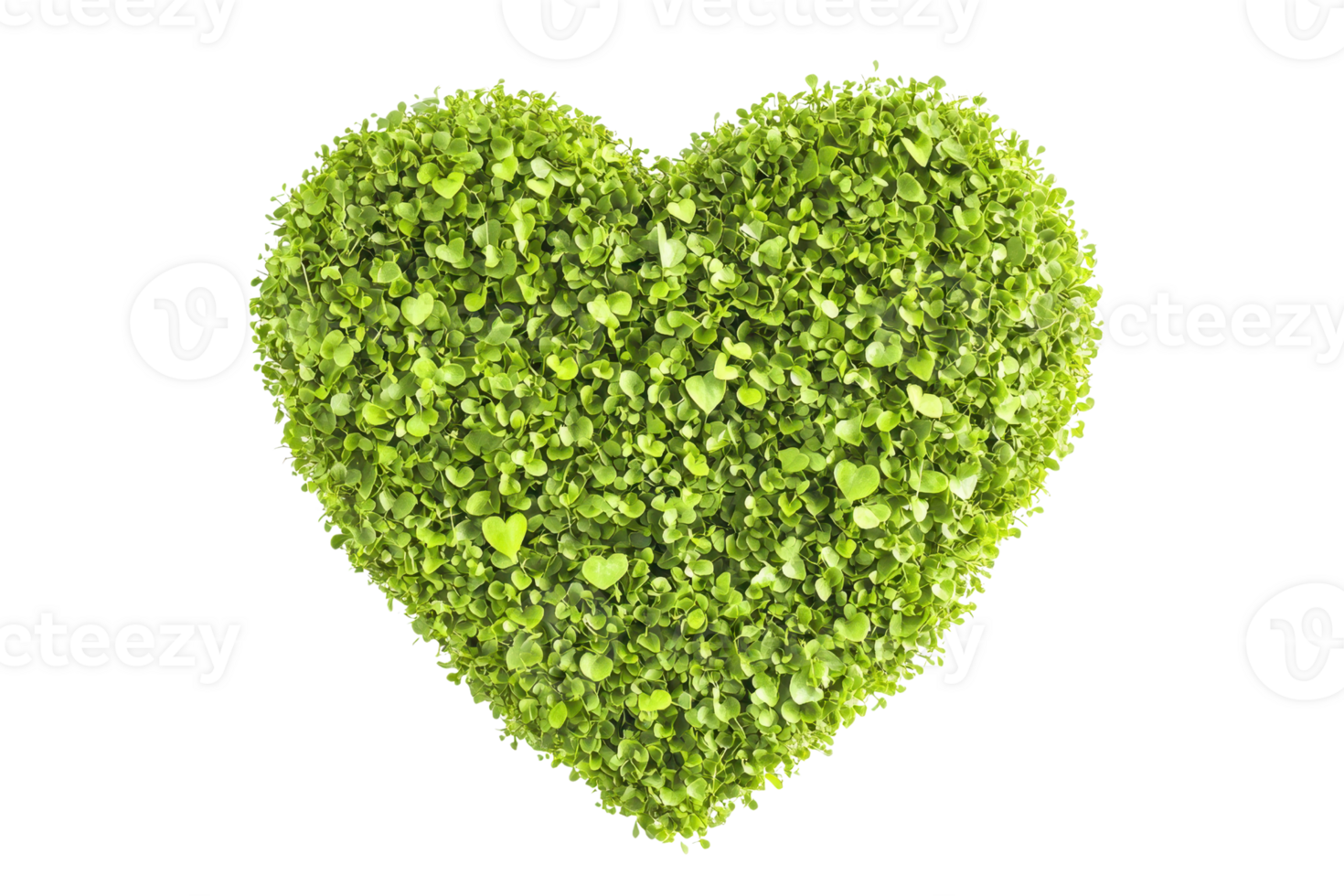 Heart-shaped green foliage symbolizing love, nature, and sustainability on a transparent background. Perfect for eco-friendly themes. png