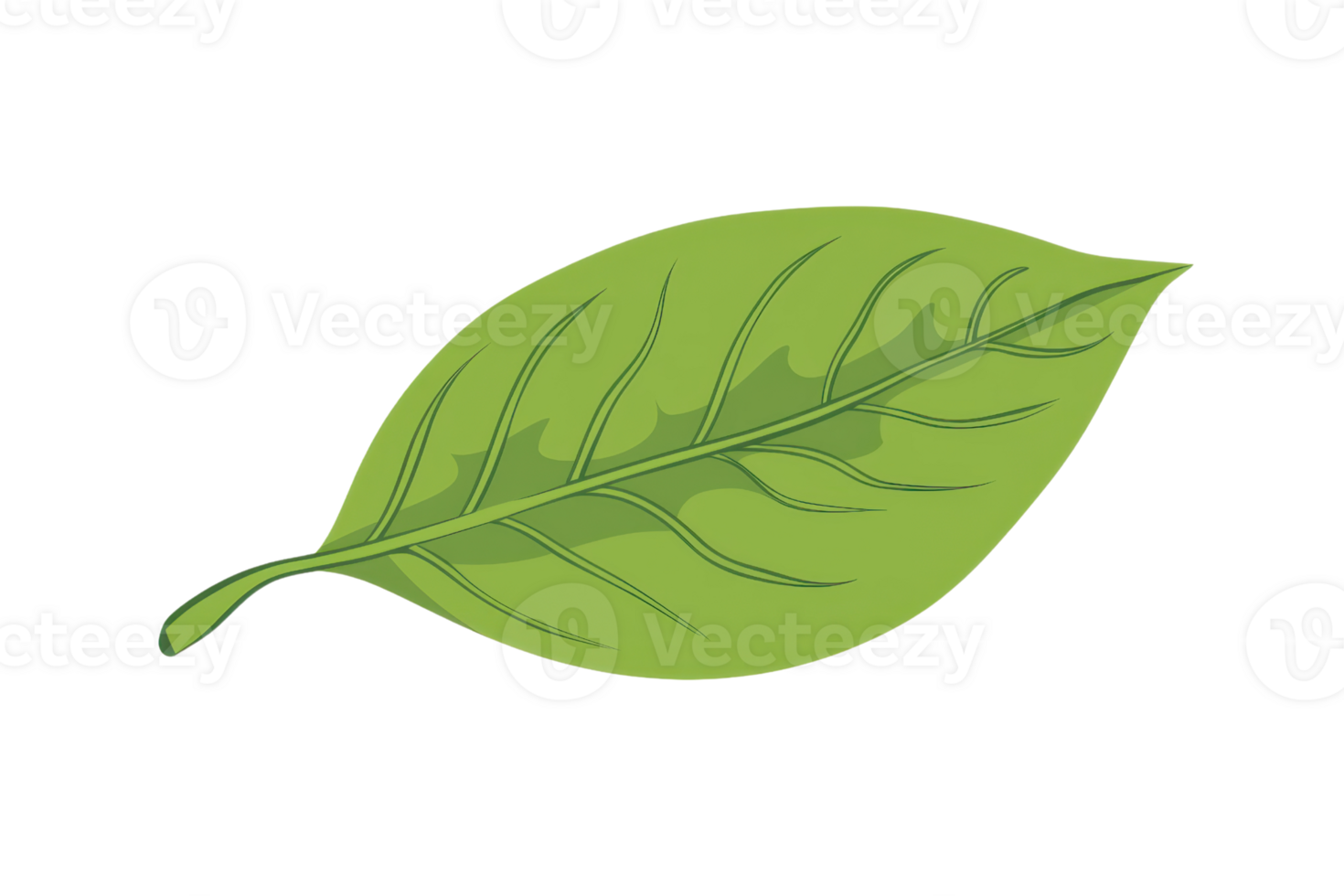 Illustration of a vibrant green leaf with detailed veins on a transparent background. symbolizing nature, growth, and sustainability. png