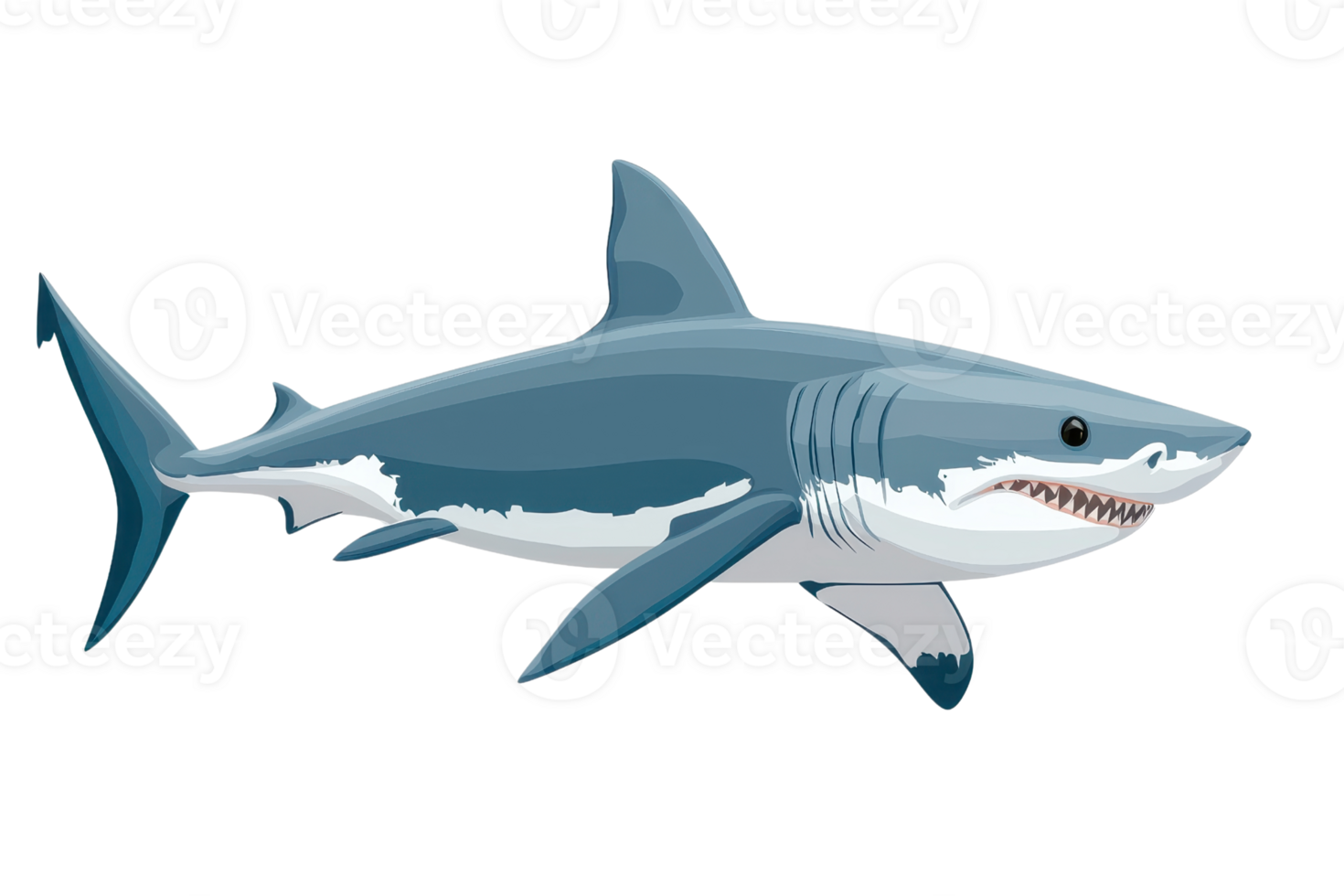 Illustration of a great white shark swimming, showcasing its powerful and sleek design, ideal for marine life and ocean-themed content. png
