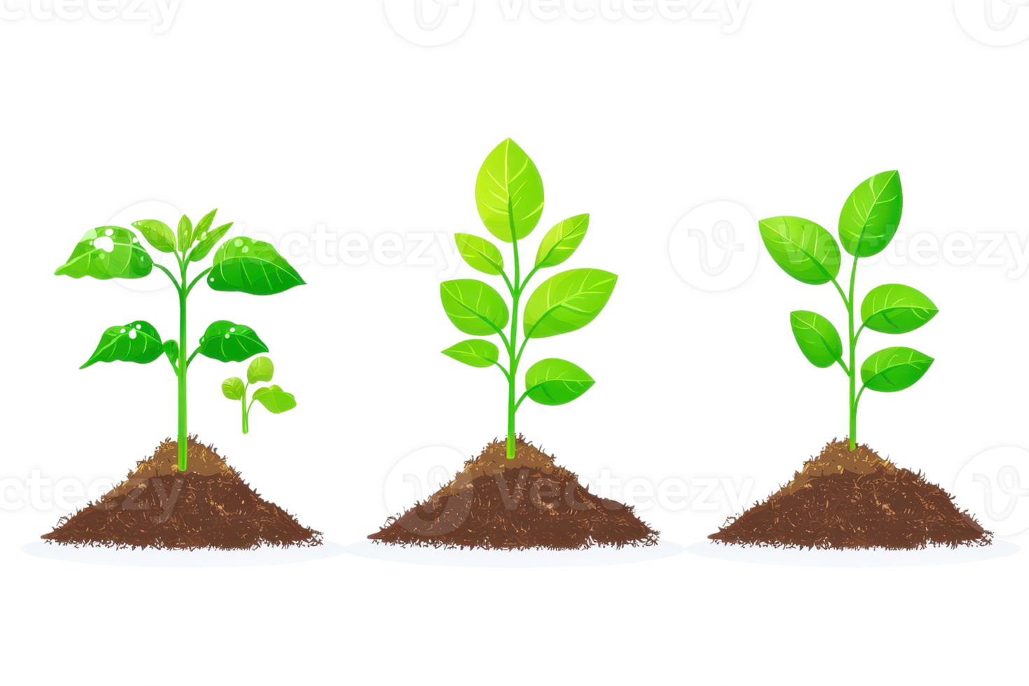 Illustration of three young plants in different growth stages, symbolizing the concept of growth and development in nature. png