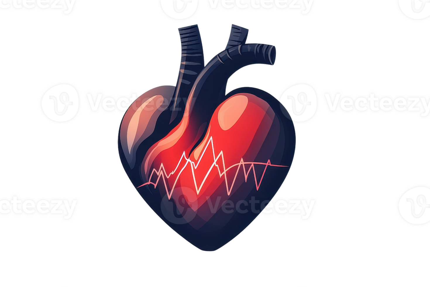 Illustration of a stylized human heart with a heartbeat waveform, showcasing anatomy and medical concepts in a vibrant, artistic style. png