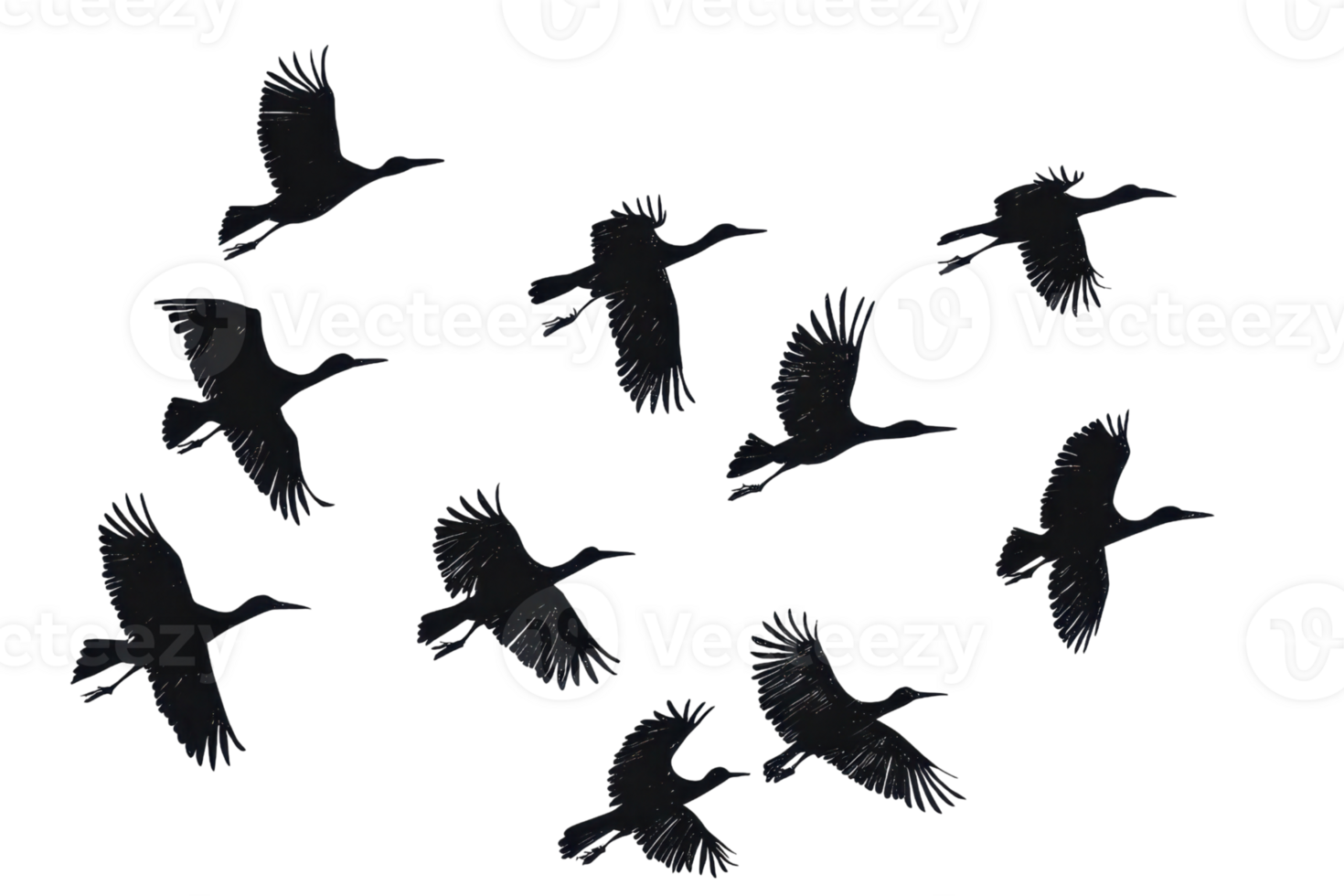 Silhouette of birds flying in a clear sky, showcasing the beauty of nature and freedom in flight with elegance and grace. png
