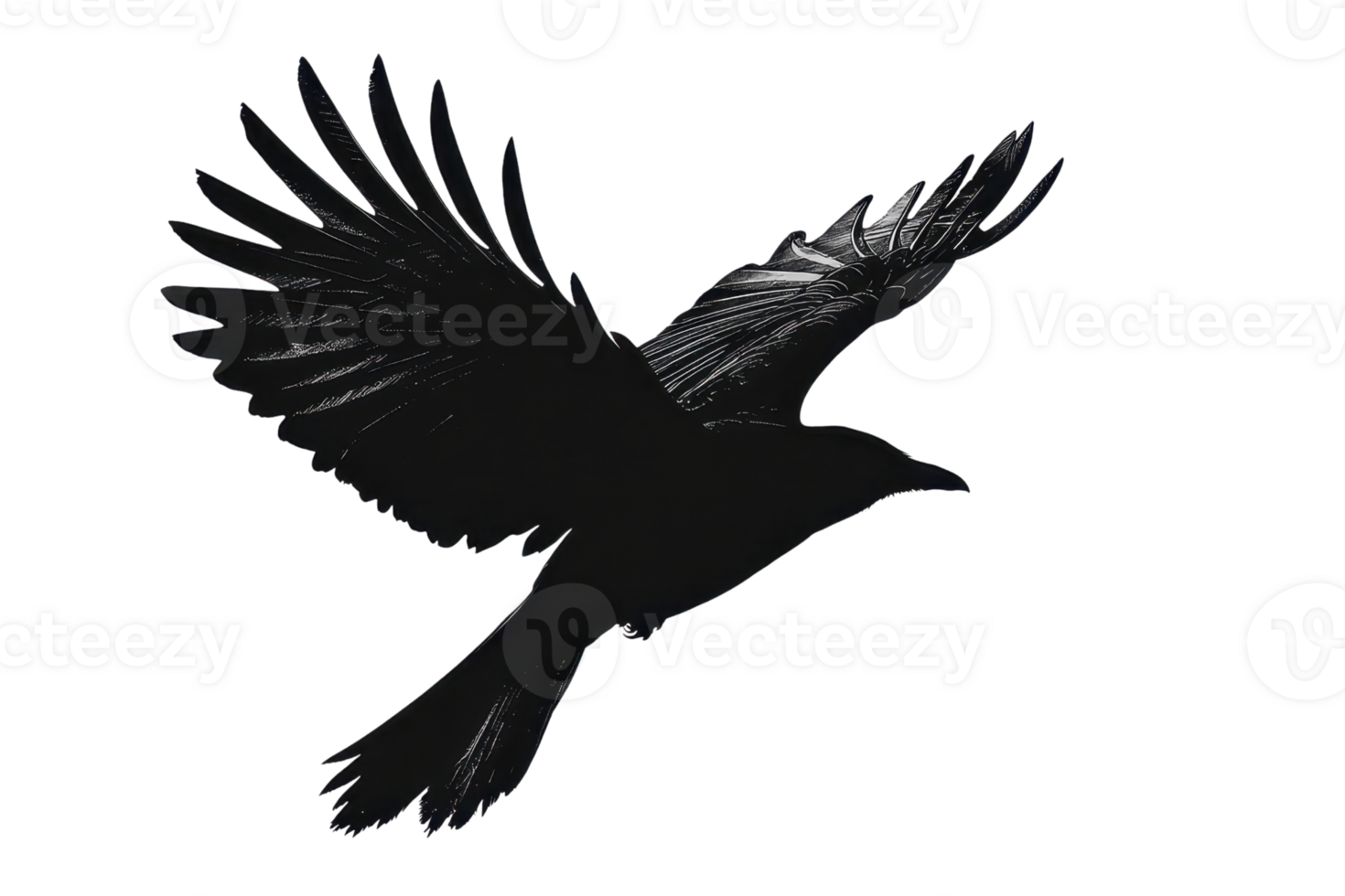 Silhouette of a bird in flight against a transparent background. The bird's wings are outstretched, showcasing intricate feather details. png