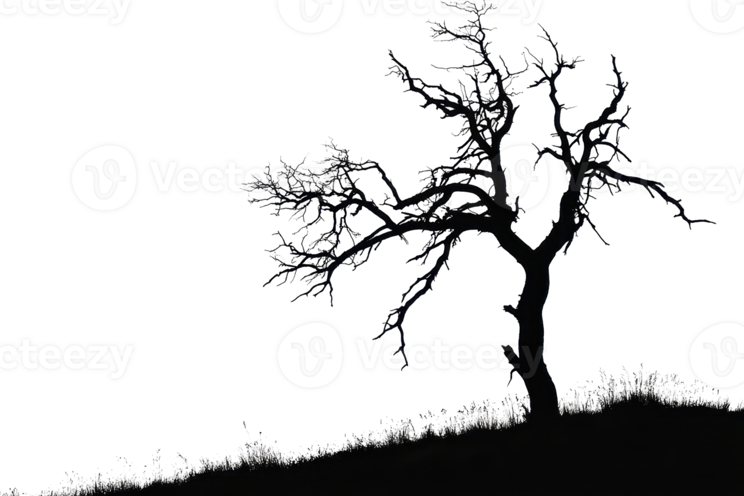 Silhouette of a barren tree standing alone on a hill with a stark contrast against the dark background. png
