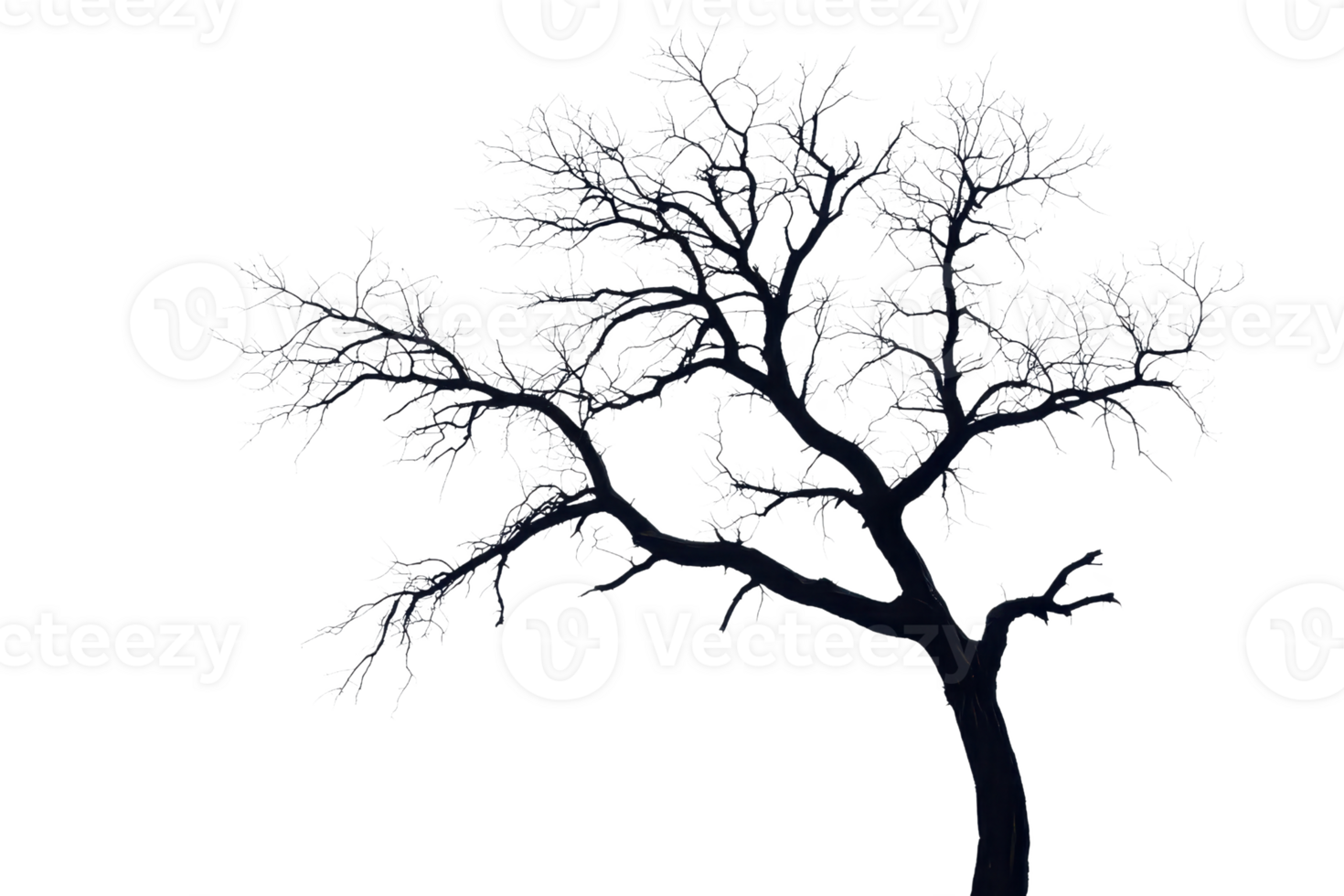 Silhouette of a leafless tree with delicate branches against a transparent background. Perfect for design and nature-themed projects. png