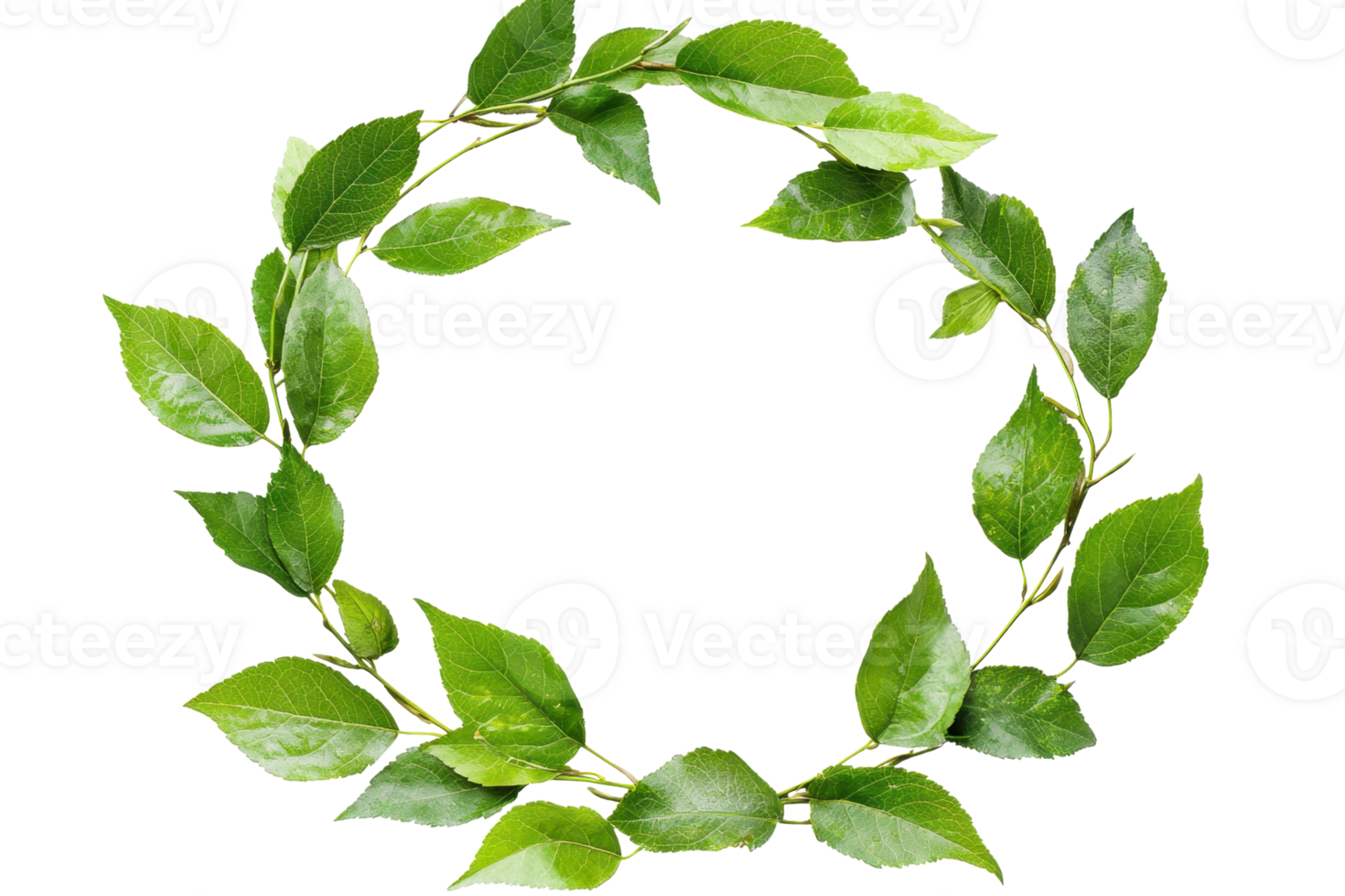 Natural green leaf wreath isolated on a transparent background. perfect for eco-friendly and nature-themed designs. png