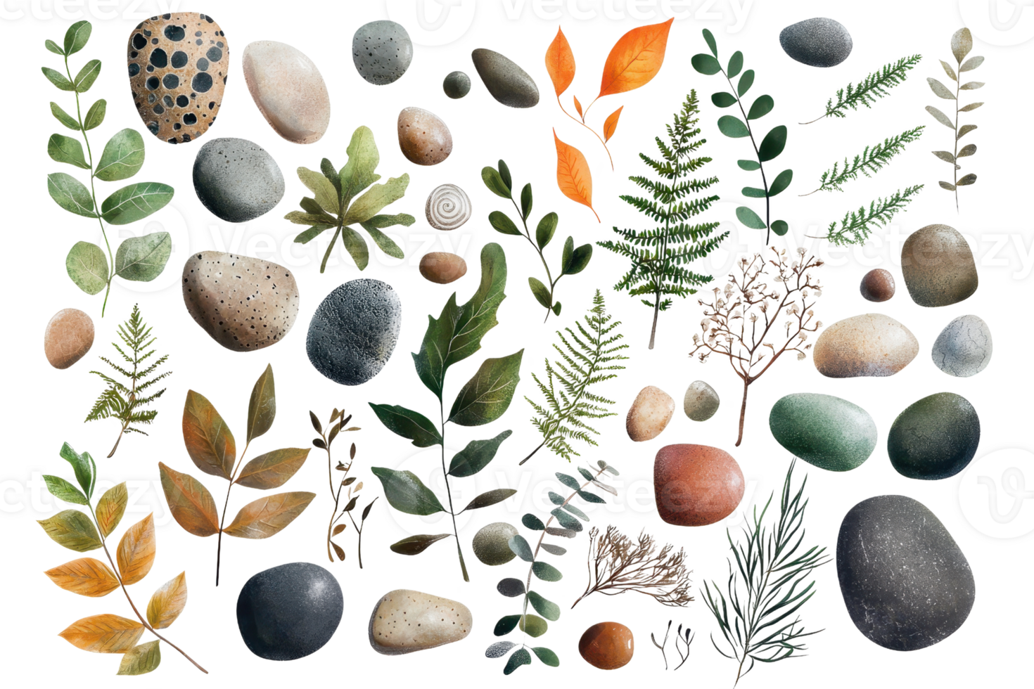 Photo of assorted natural elements like leaves and stones, arranged creatively to form a mixed collection of nature-themed designs. png