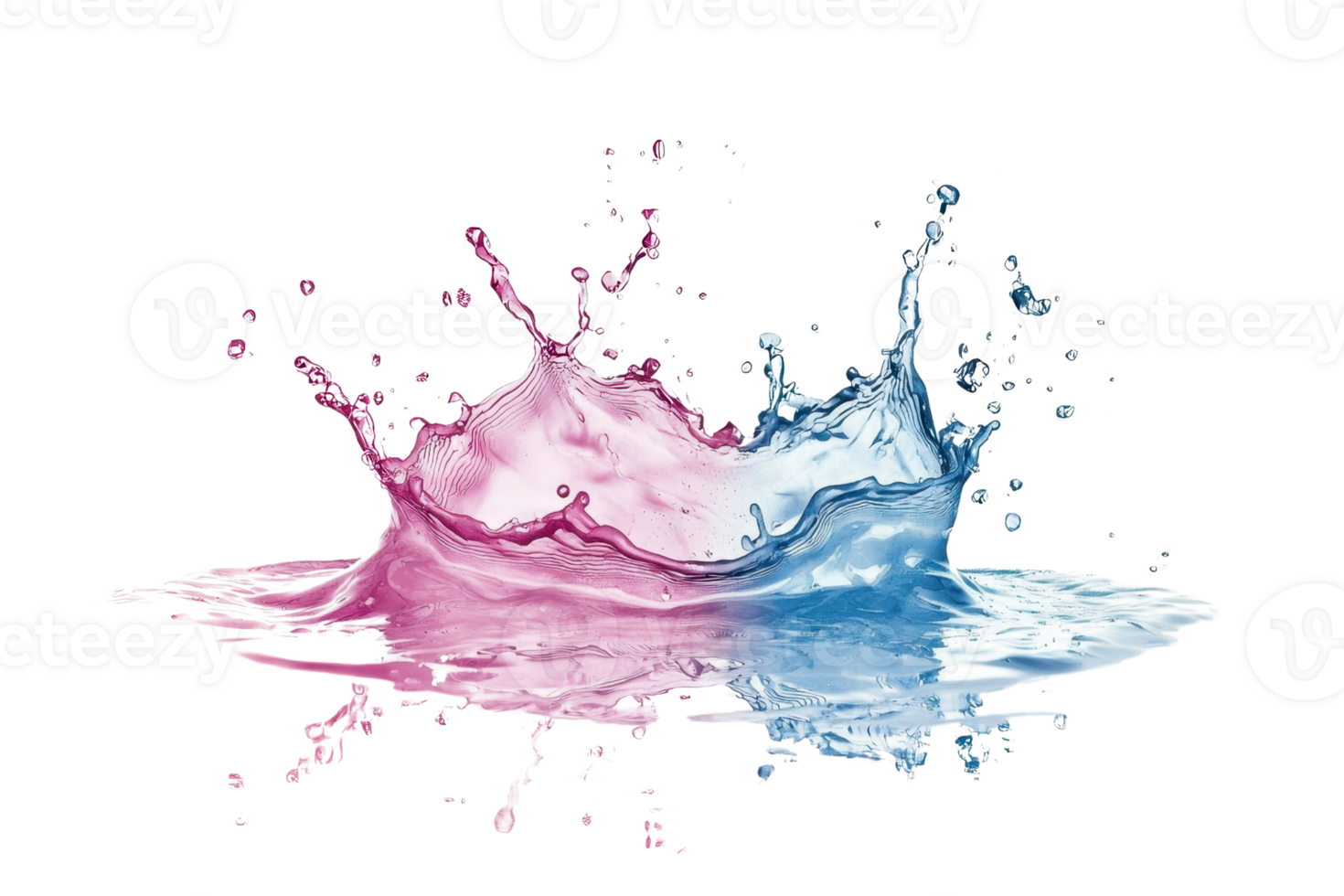 Vibrant splash of pink and blue paint colliding on a transparent background. capturing dynamic motion and colorful artistry. Perfect for creative projects. png