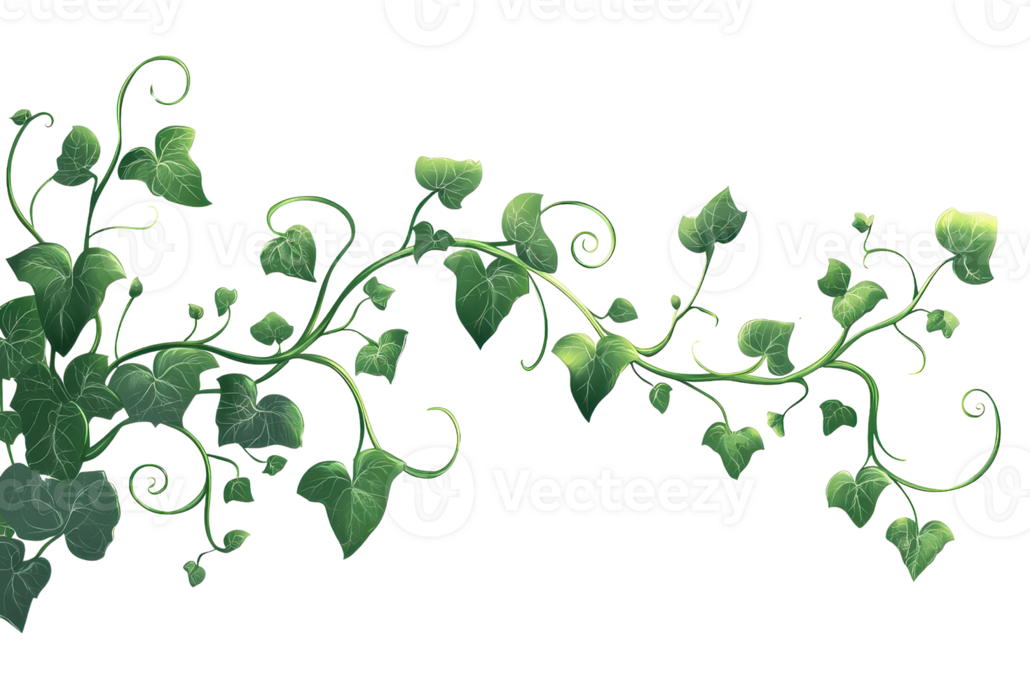 Vibrant green ivy branches interweaving on a transparent background, showcasing nature's intricate and elegant design. png