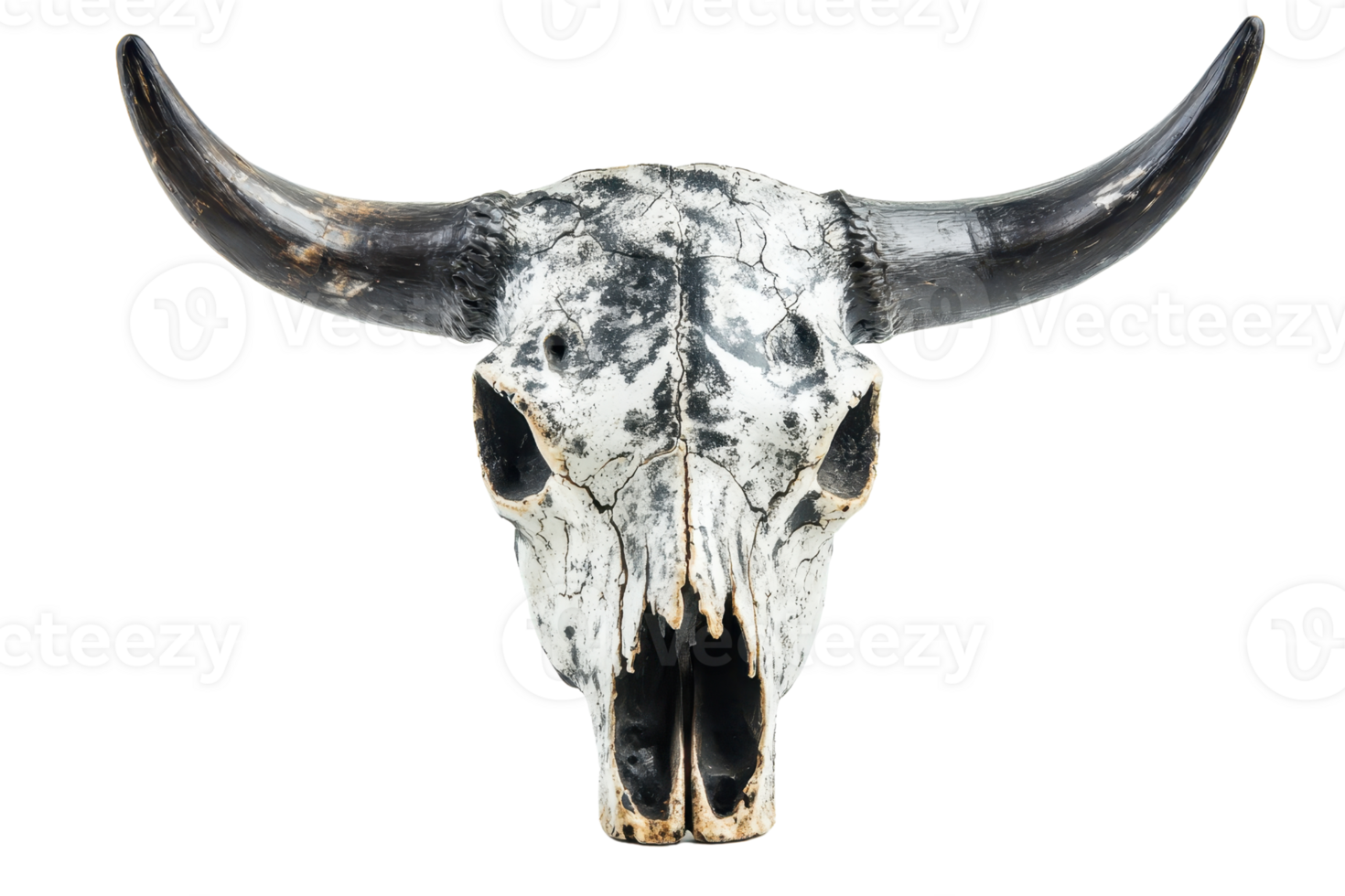 Weathered buffalo skull with large horns isolated on transparent background. showcasing rustic and natural elements. png