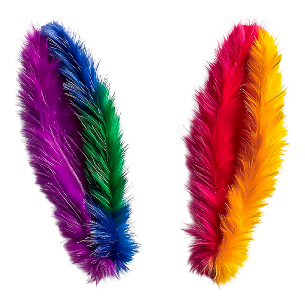 Colorful Vibrant Feathers on a White Background for Creative Projects png