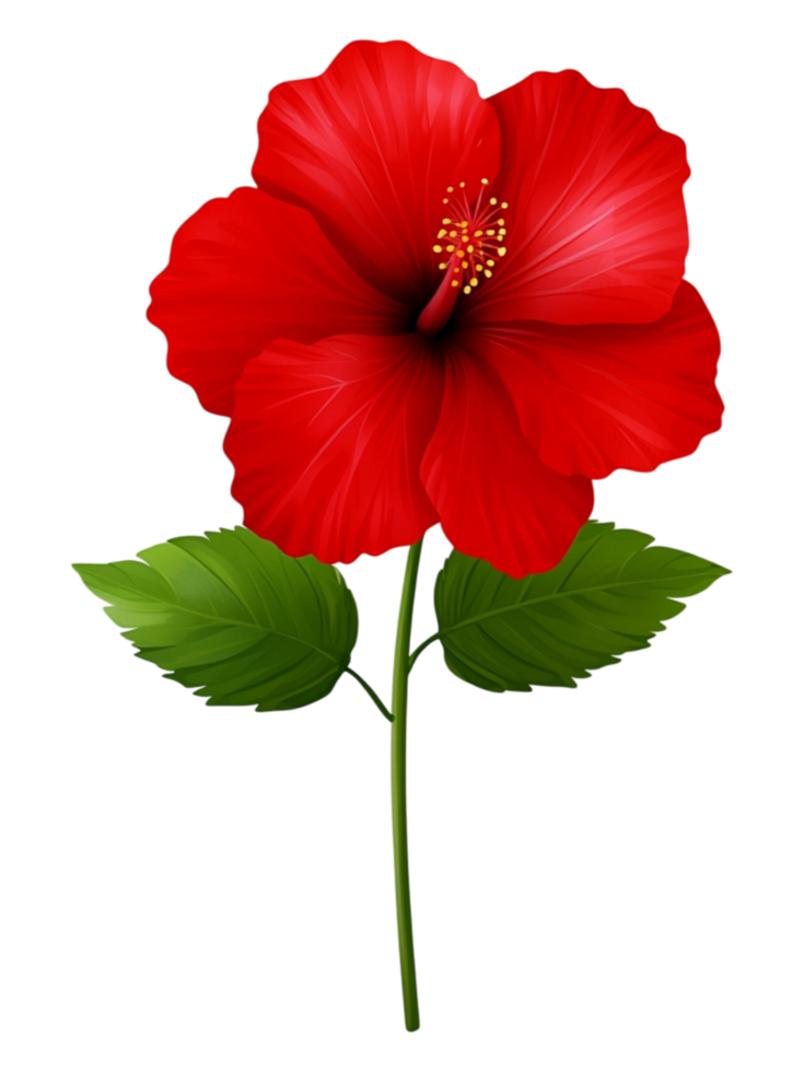 Vibrant Red Hibiscus Flower with Refreshing Green Leaves png