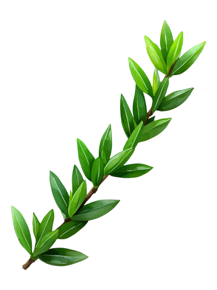 Green Leafy Branch with Fresh Leaves png