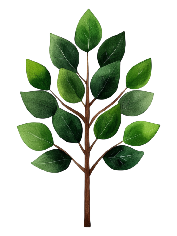 Detailed Illustration of a Green Leafy Tree with Branches and Leaves png