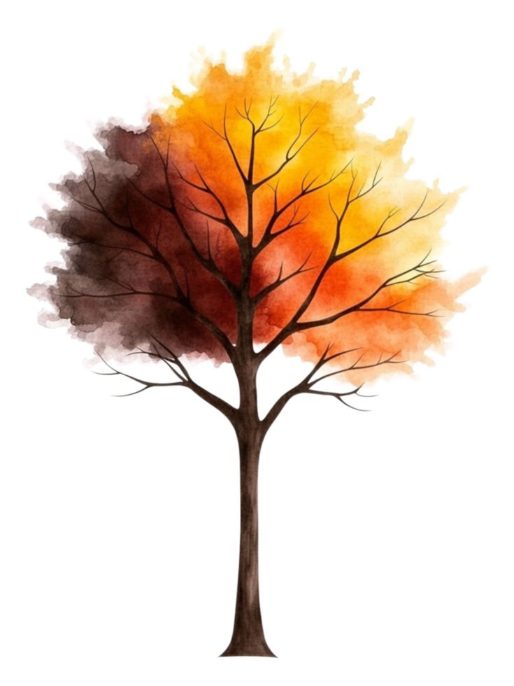 Vibrant Watercolor Tree Illustration with Autumn Colors and Details png