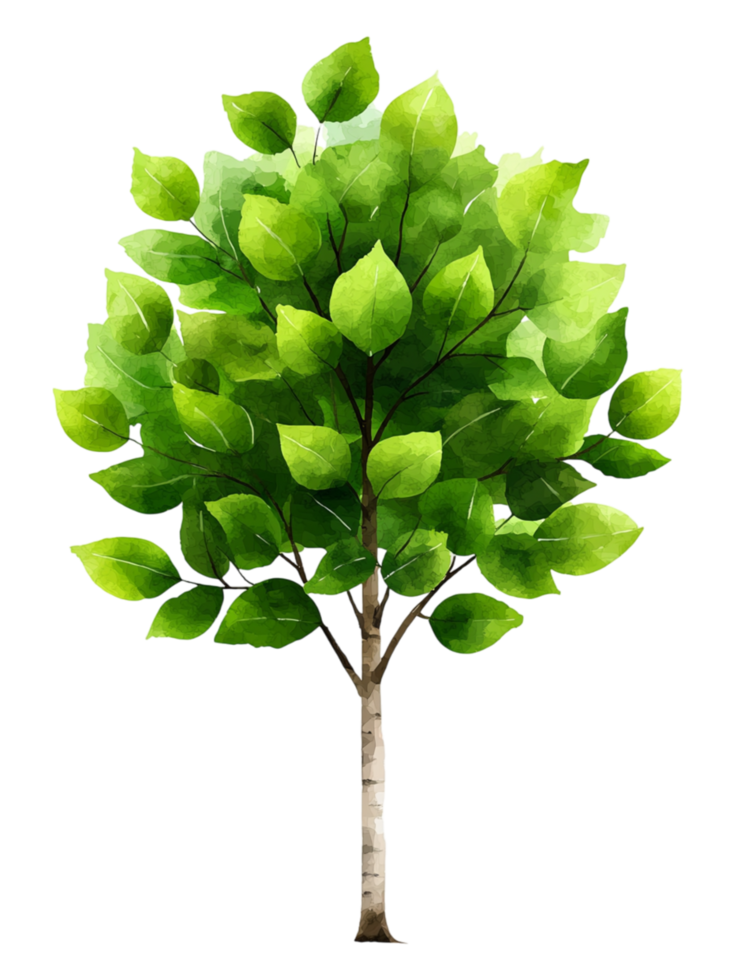 Lush Green Tree with Vibrant Leaves png