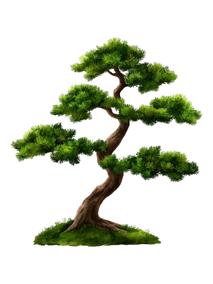 Elegant Bonsai Tree with Lush Green Foliage png