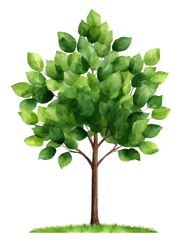 Vibrant Green Tree with Lush Foliage and Trunk Illustration png