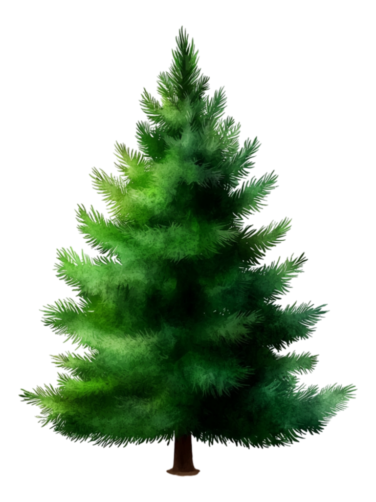 Lush Green Evergreen Tree with Vibrant Needles and Rich Foliage png