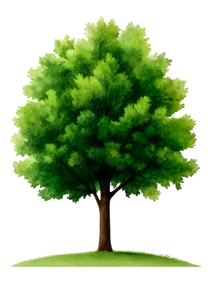 Lush Green Tree with Vibrant Foliage on a Gentle Hilltop png