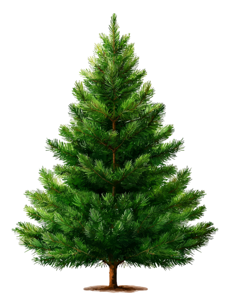 Lush Green Christmas Tree for Holidays png