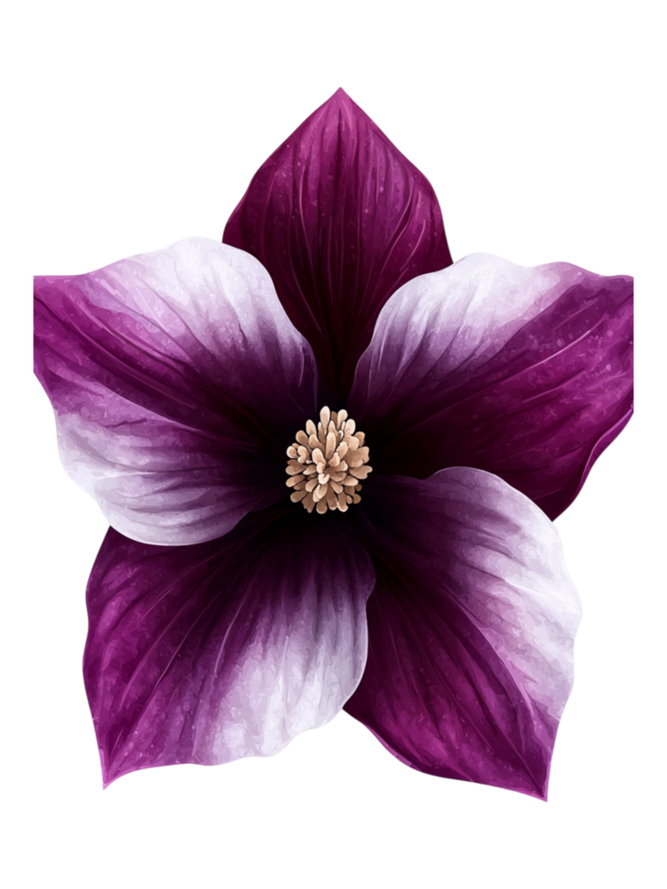 Vibrant Purple Flower with White Petals and Detailed Center png