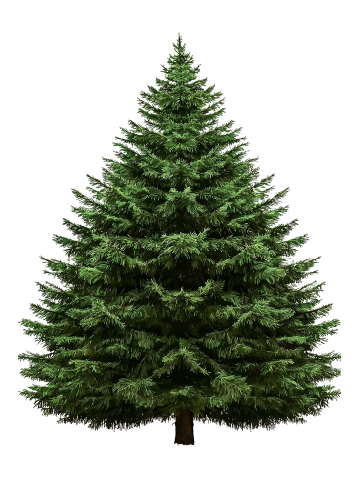Lush Green Evergreen Tree with Dense Foliage and Full Shape png