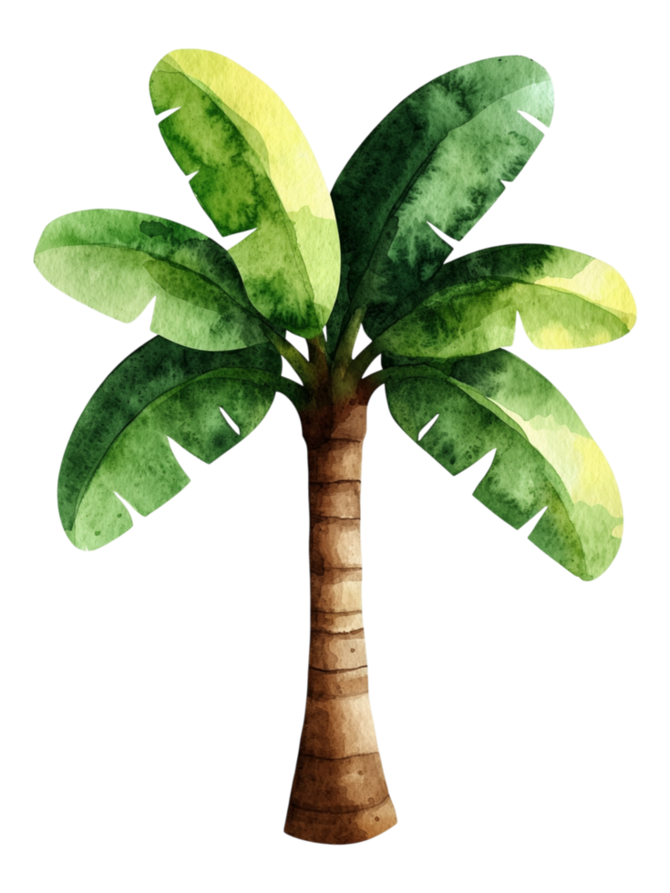 Tropical Watercolor Palm Tree Illustration with Foliage and Trunk png