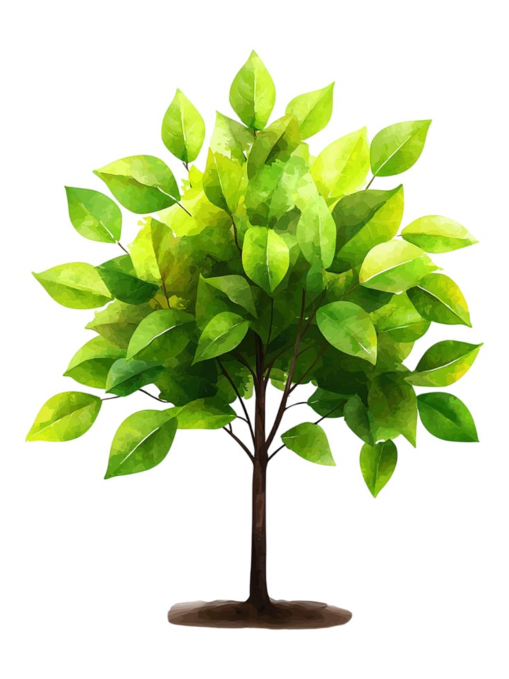 Vibrant Green Tree with Lush Leaves in Watercolor Style png