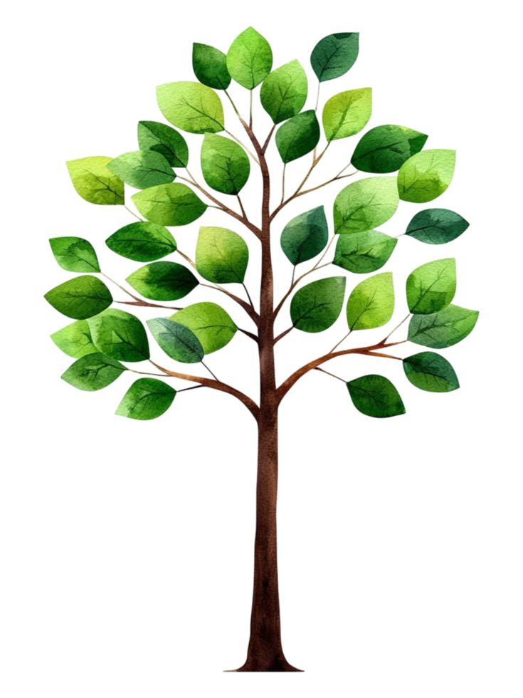 Watercolor Tree with Lush Green Leaves and Brown Trunk Design png