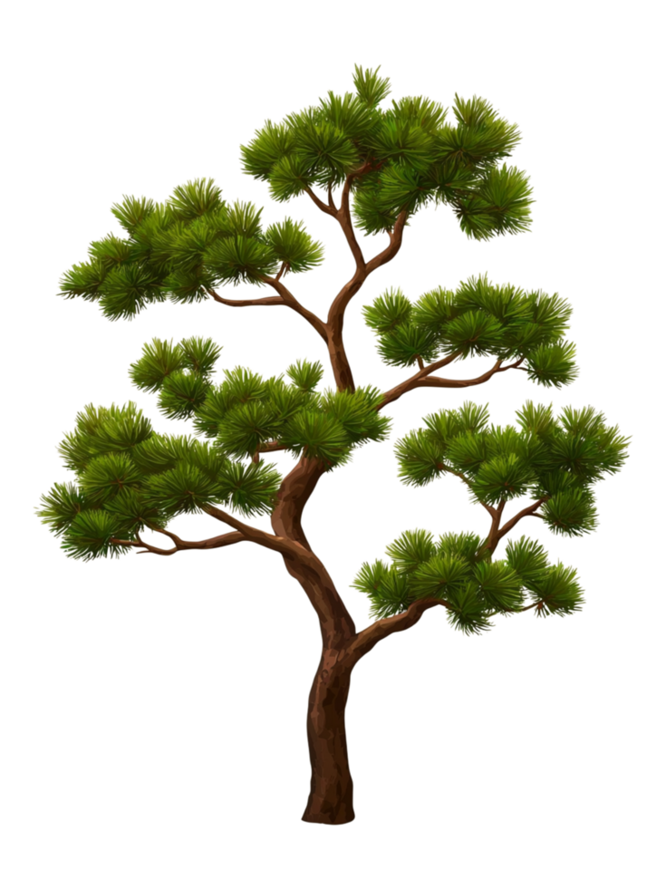 Green Pine Tree Illustration with Detailed Branches and Foliage png