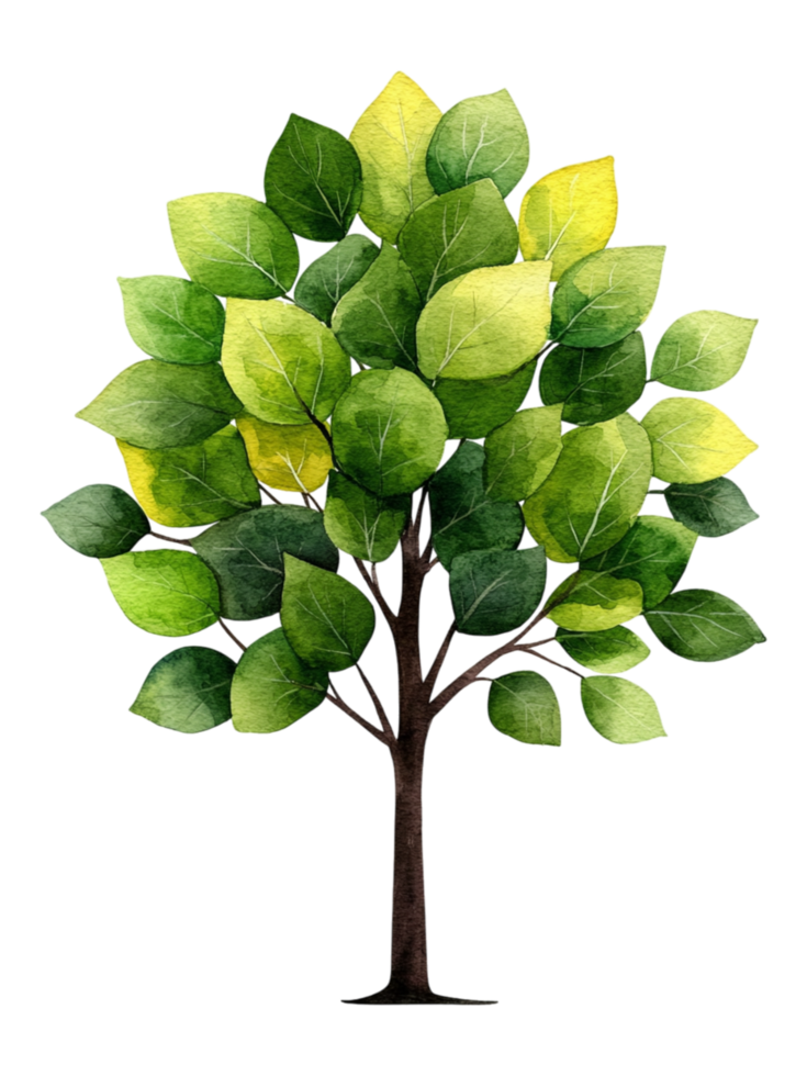 Watercolor Tree with Green Leaves png