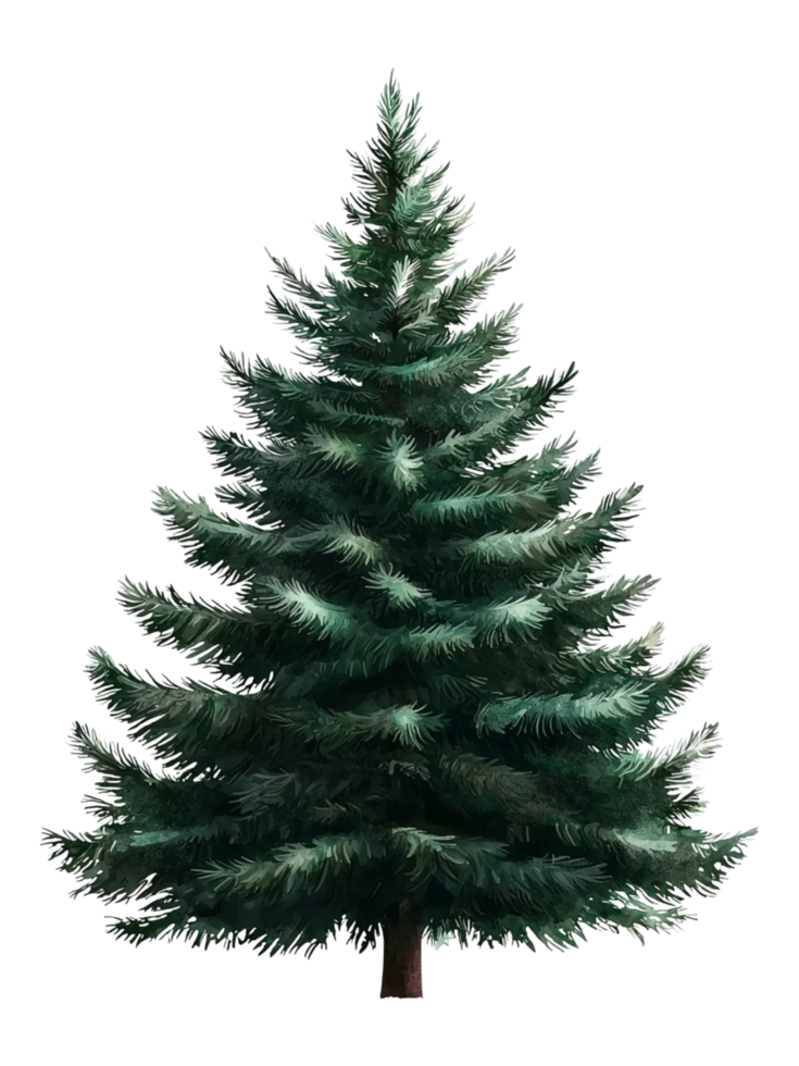 Lush Green Pine Tree with Realistic Branches and Needles png